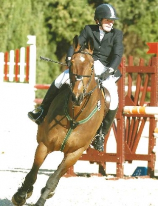  Il nostro cavallo più alto